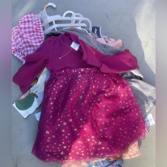 Lot 12 New Baby Girls Clothes 12-18 Months Counting Lillies, Carter, and Tahari - Picture 1 of 14